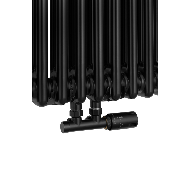 Grzejnik żeberkowy pionowy Column Line CL2 1000x470 czarny