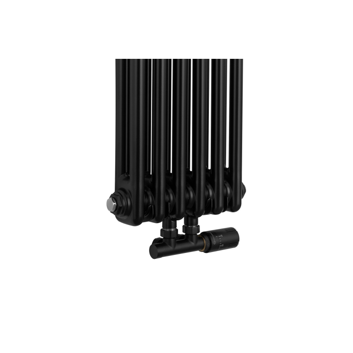 Grzejnik żeberkowy pionowy Column Line CL2 1600x290 czarny