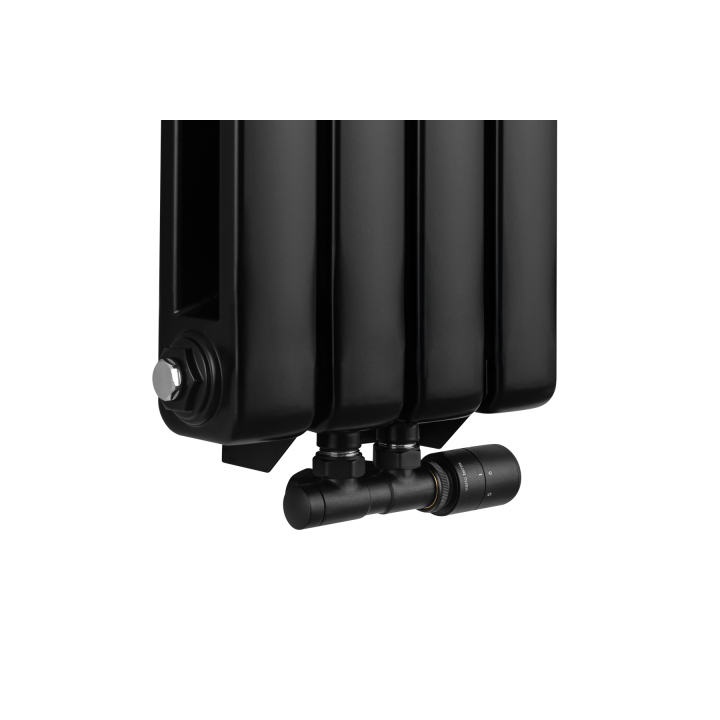 Grzejnik dekoracyjny Bufallo BF2 1800x300 czarny