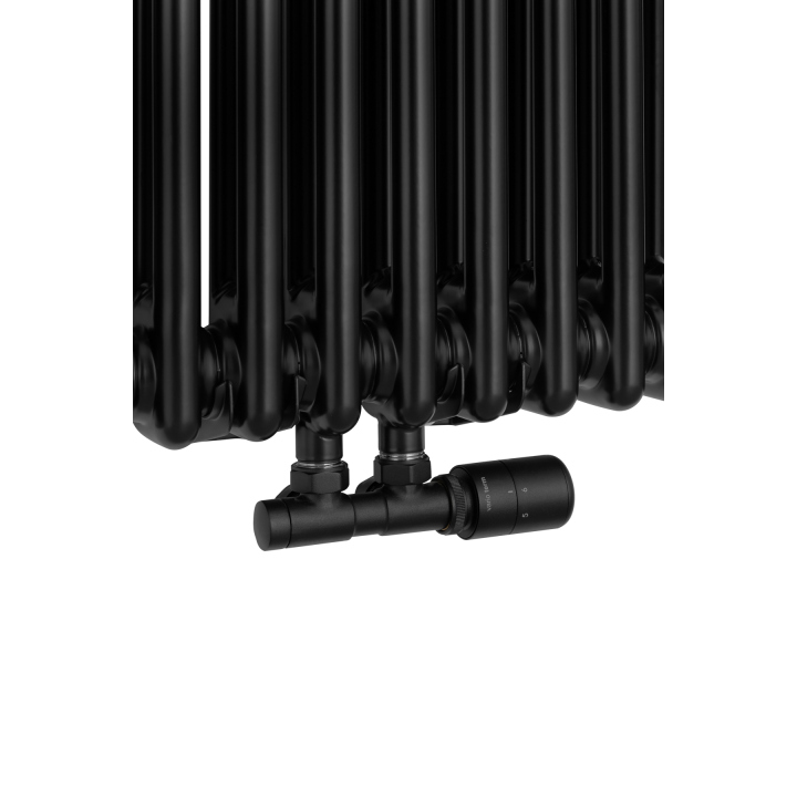 Grzejnik żeberkowy pionowy Column Line CL2 1800x470 czarny