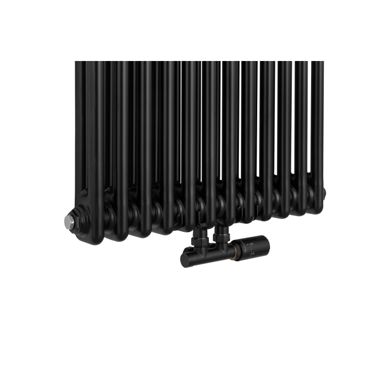 Grzejnik żeberkowy pionowy Column Line CL2 1800x560 czarny