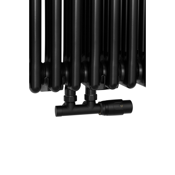 Grzejnik żeberkowy pionowy Column Line CL3E 1800x650 czarny