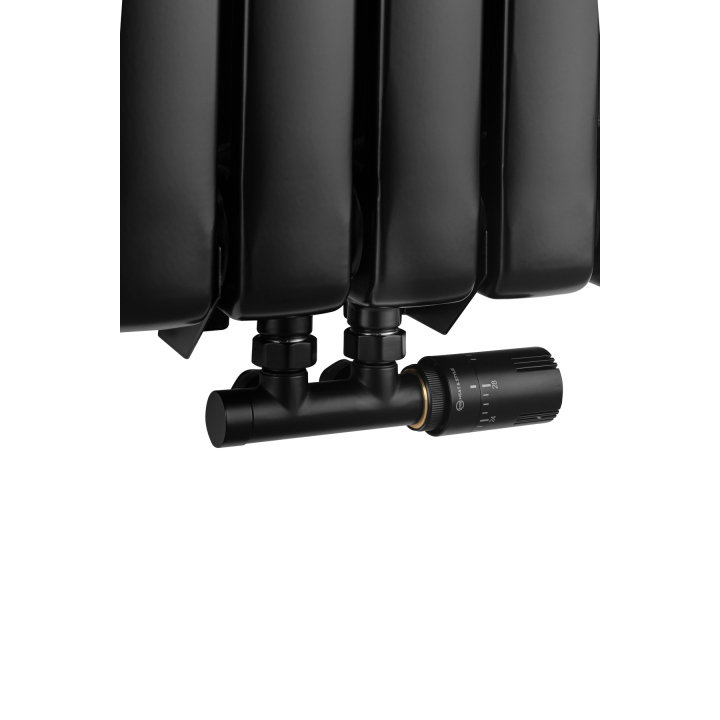 Grzejnik dekoracyjny Bufallo BF2 1800x440 czarny