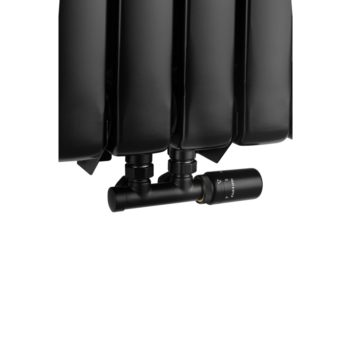 Grzejnik dekoracyjny Bufallo BF2 1800x440 czarny