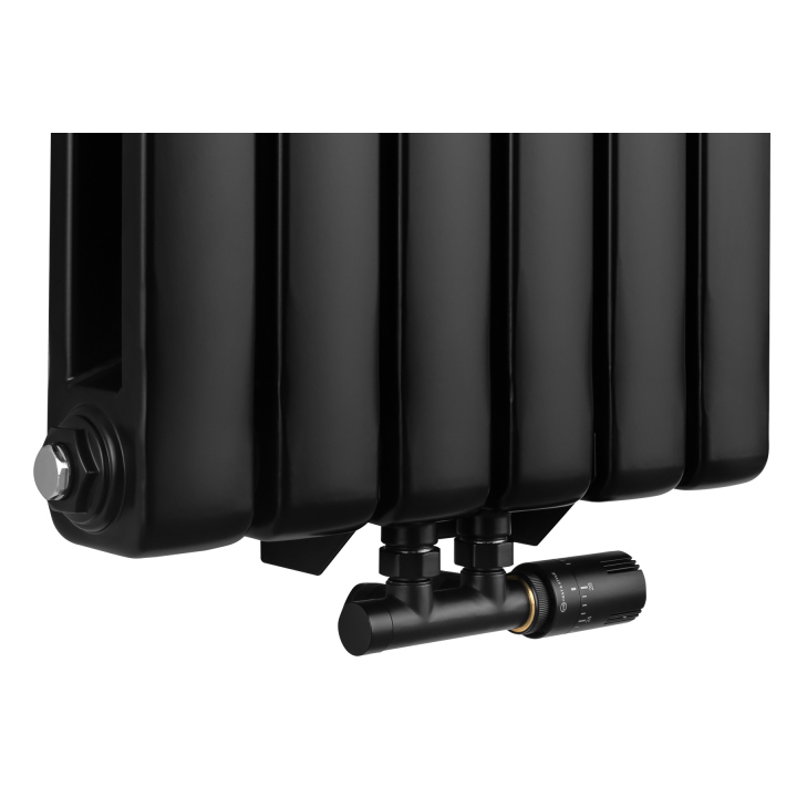 Grzejnik dekoracyjny Bufallo BF2 1800x440 czarny