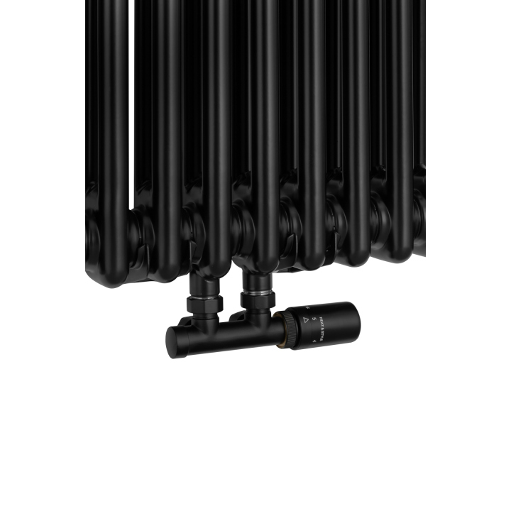 Grzejnik żeberkowy pionowy Column Line CL2 1800x560 czarny