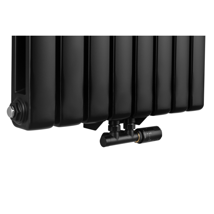 Grzejnik dekoracyjny Bufallo BF2 1800x580 czarny