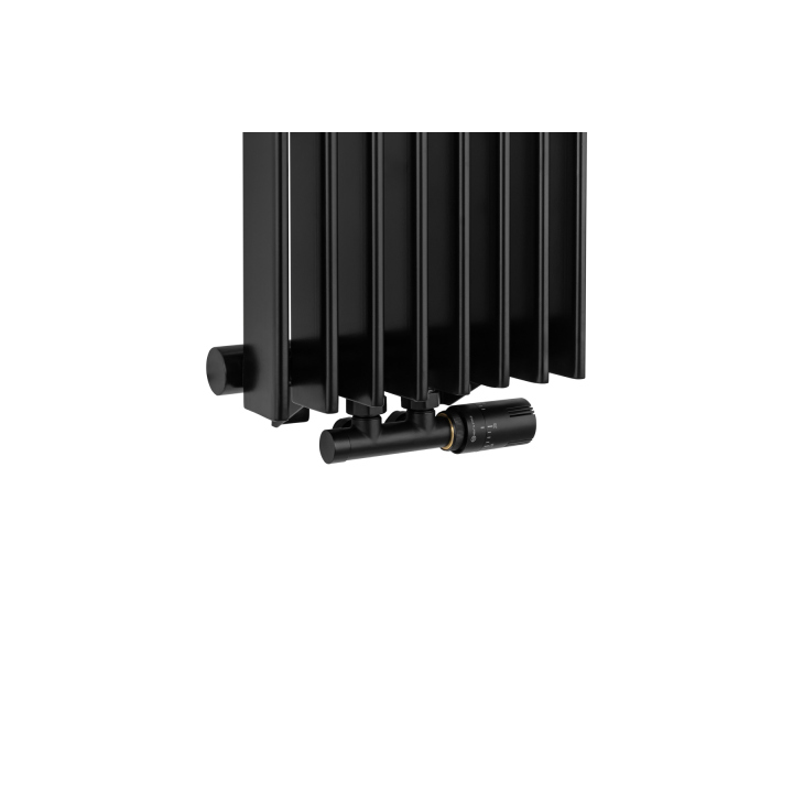 Grzejnik dekoracyjny Wild 1800x304 czarny