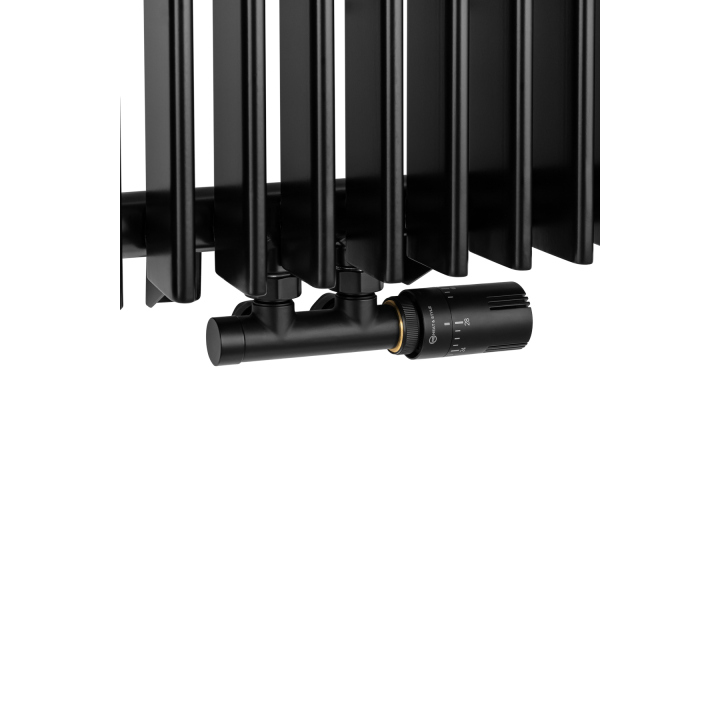 Grzejnik dekoracyjny Wild 1800x456 czarny