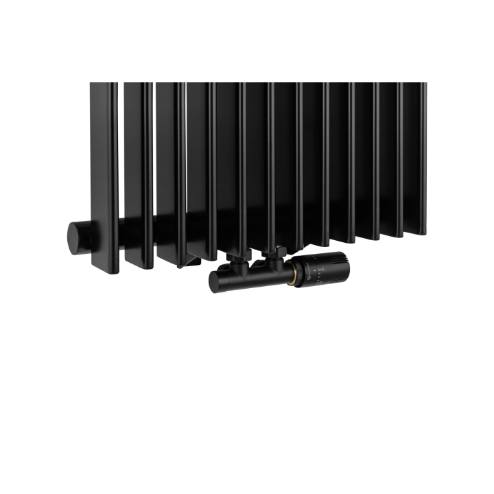 Grzejnik dekoracyjny Wild 1800x456 czarny