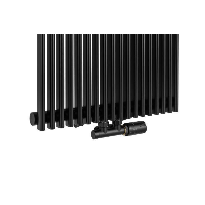 Grzejnik dekoracyjny Edo ED1 1800x507 czarny