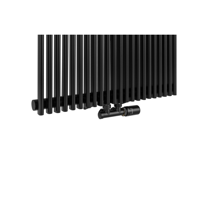 Grzejnik dekoracyjny Edo ED1 1800x620 czarny