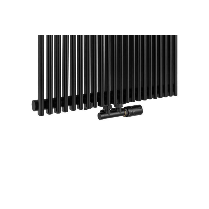 Grzejnik dekoracyjny Edo ED1 1800x620 czarny