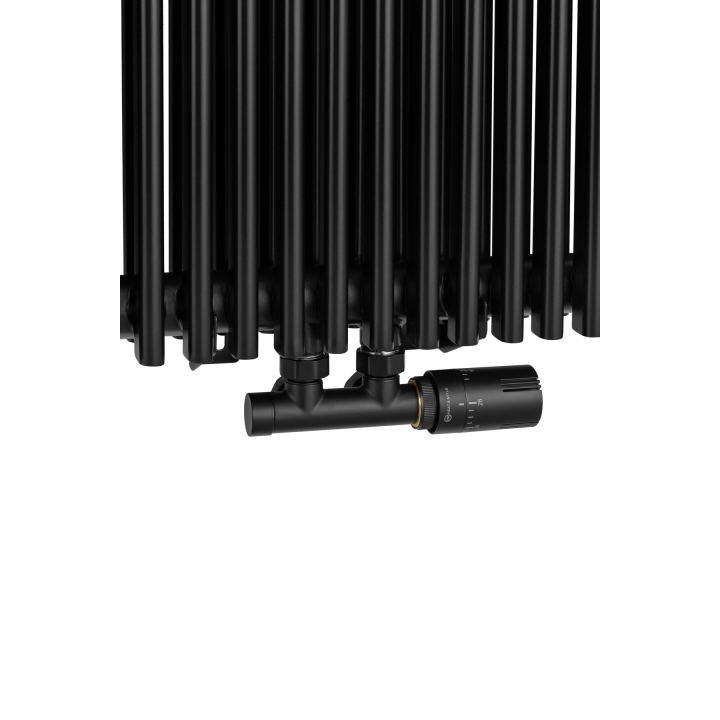 Grzejnik dekoracyjny Edo ED2E 1800x507 czarny