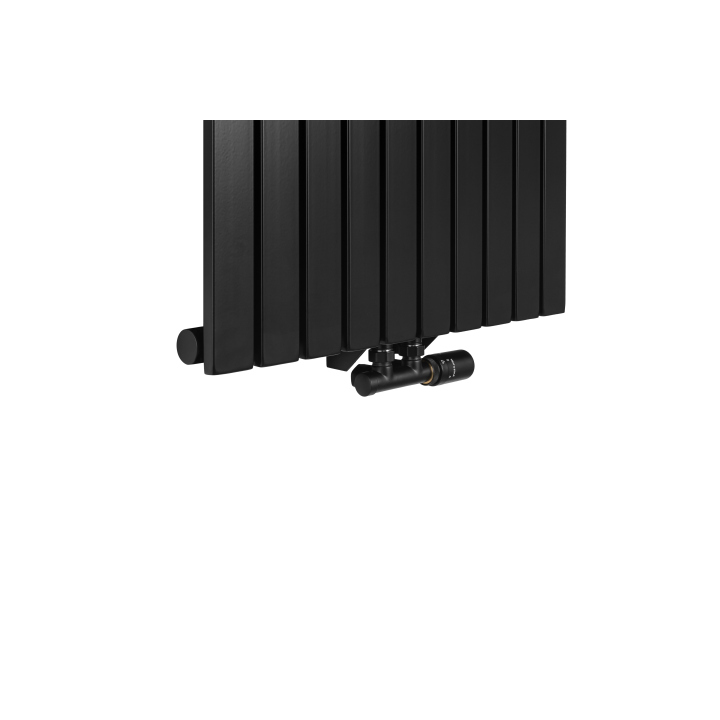 Grzejnik dekoracyjny Judy JD1 1600x590 czarny