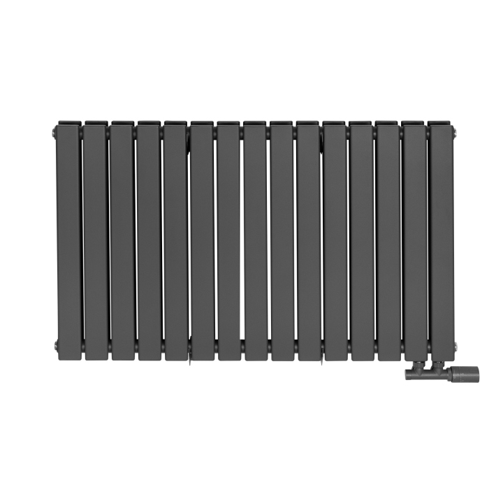 Grzejnik dekoracyjny Wanted WD2E 600x1020 grafit