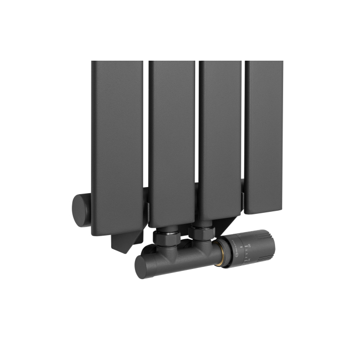 Grzejnik dekoracyjny Wanted WD1 1800x272 grafit