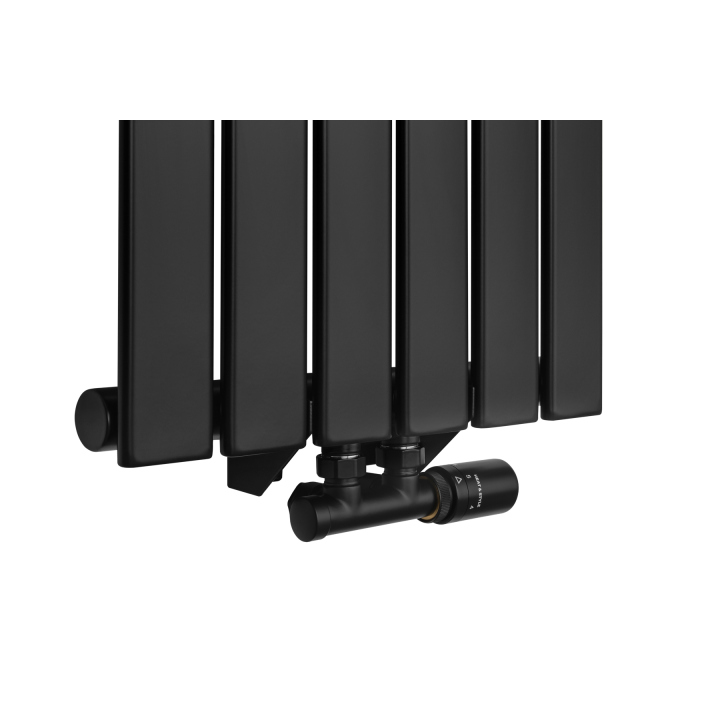 Grzejnik dekoracyjny Wanted WD1 1800x408 czarny