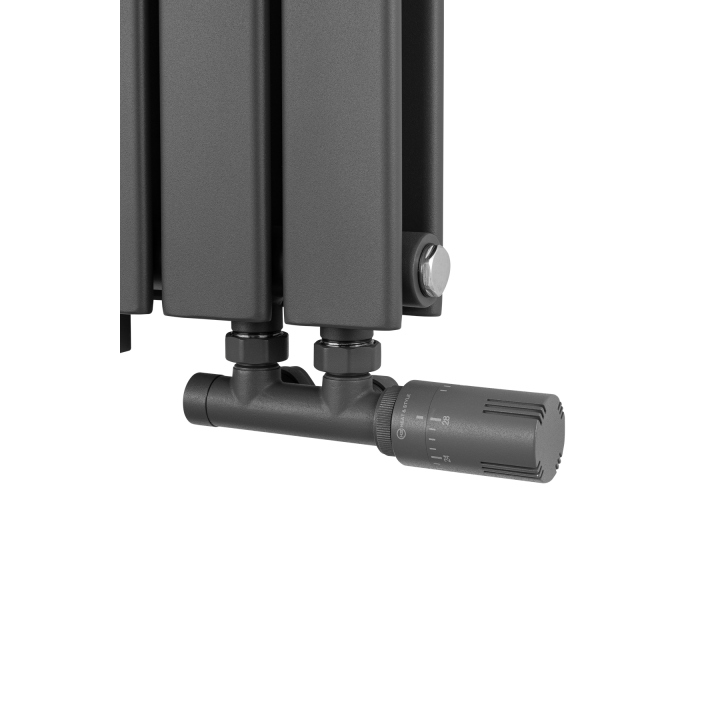 Grzejnik dekoracyjny Wanted WD2E 600x612 grafit