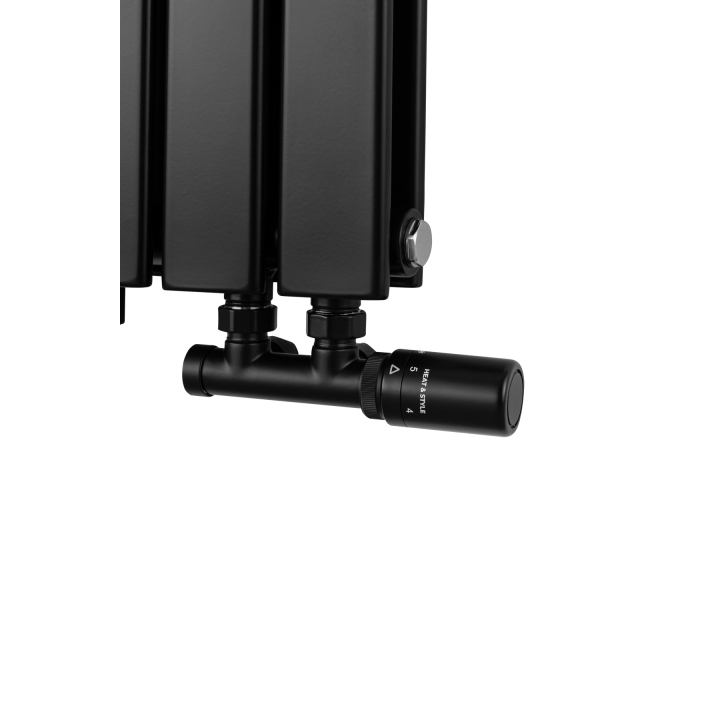 Grzejnik dekoracyjny Wanted WD2E 600x612 czarny