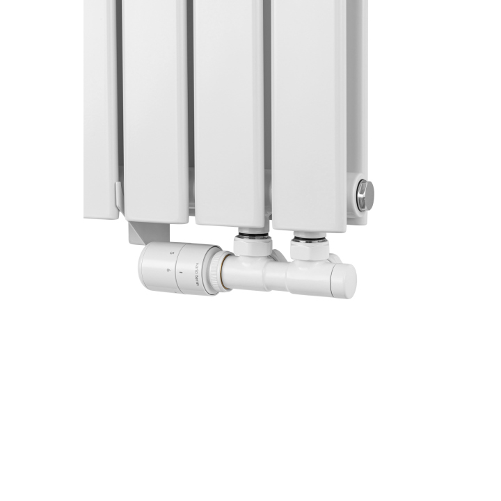 Grzejnik dekoracyjny Wanted WD2E 600x1020 biały