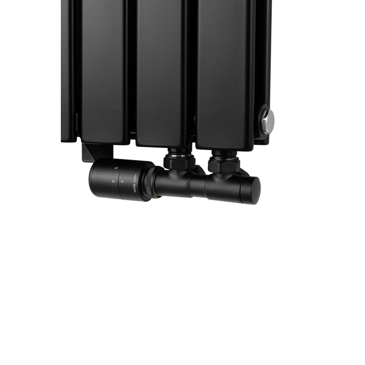 Grzejnik dekoracyjny Wanted WD2E 600x1020 czarny