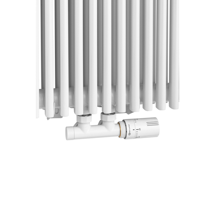 Grzejnik dekoracyjny Edo ED2E 1800x620 biały