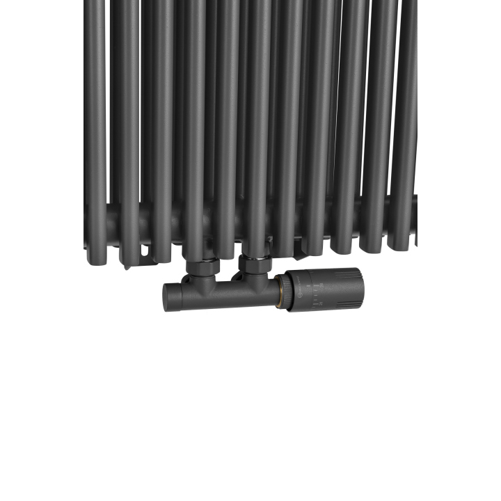 Grzejnik dekoracyjny Edo ED2E 1800x620 grafit