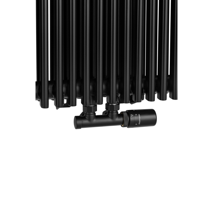 Grzejnik dekoracyjny Edo ED2E 1800x394 czarny