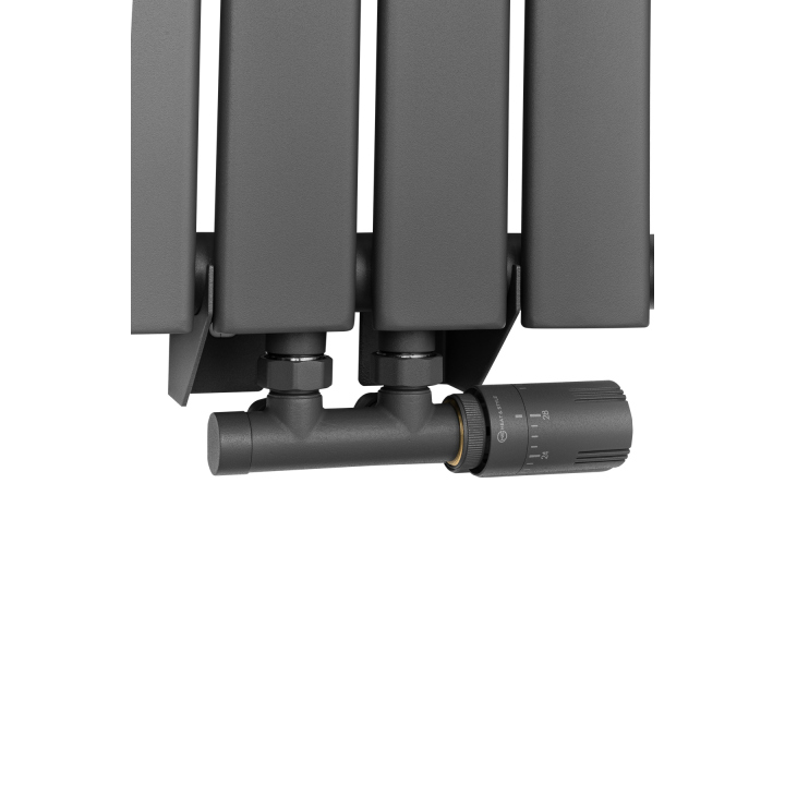 Grzejnik dekoracyjny Wanted WD1 1600x408 grafit